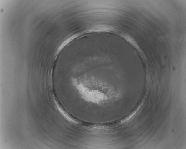 X0000085310842200703231922