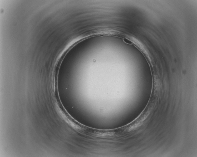 X0000085310843200703231922