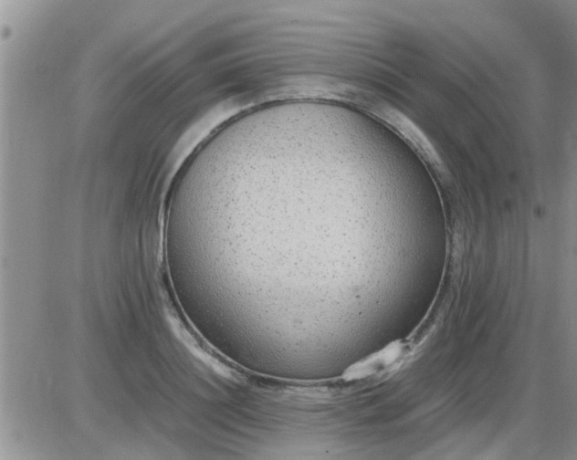 X0000085310844200703231922