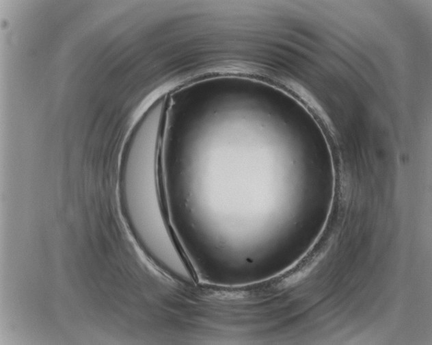 X0000085310845200703231922