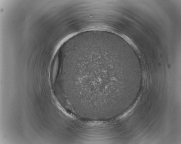 X0000085310846200703231922