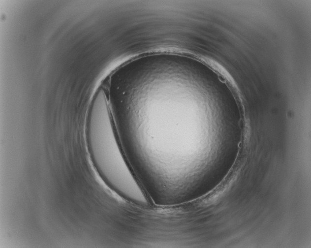 X0000085310847200703231922