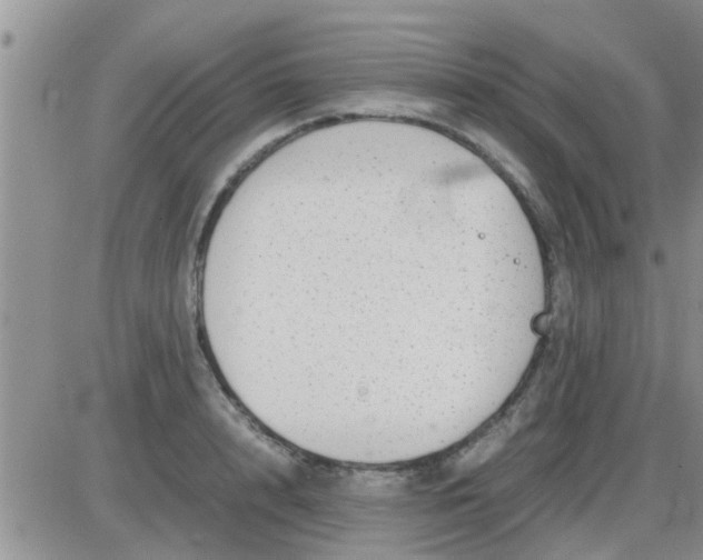 X0000085310848200703231922