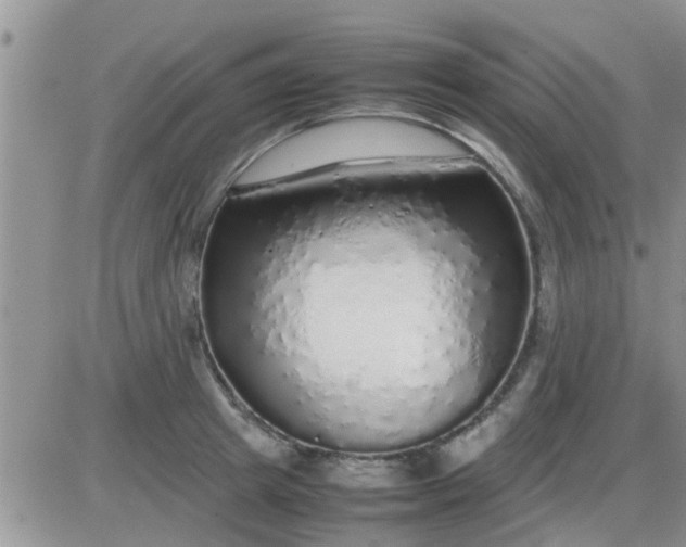 X0000085310849200703231922