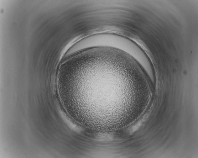 X0000085310850200703231922