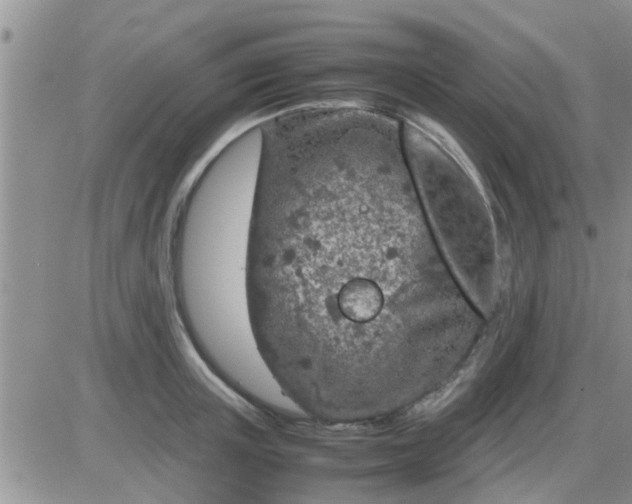 X0000085310851200703231922