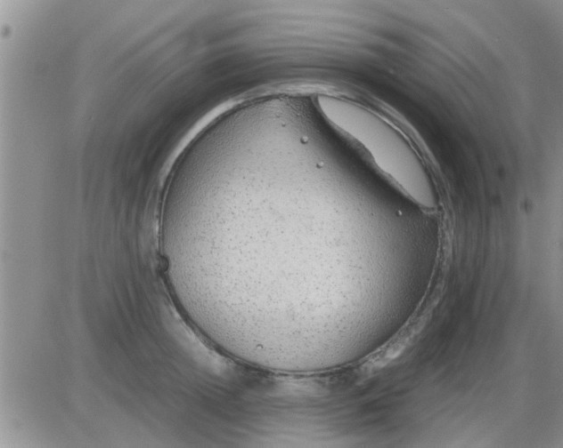 X0000085310852200703231922