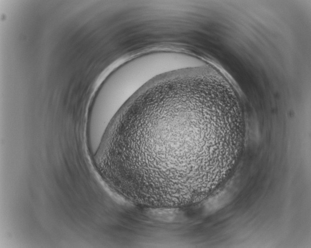 X0000085310853200703231922