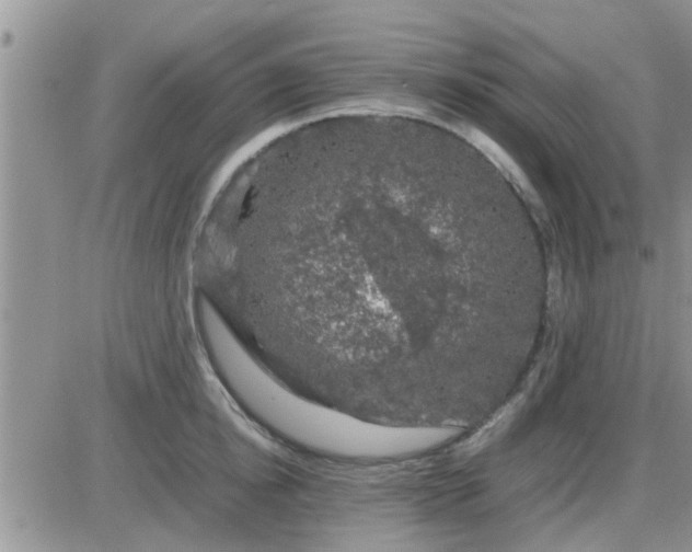 X0000085310854200703231922