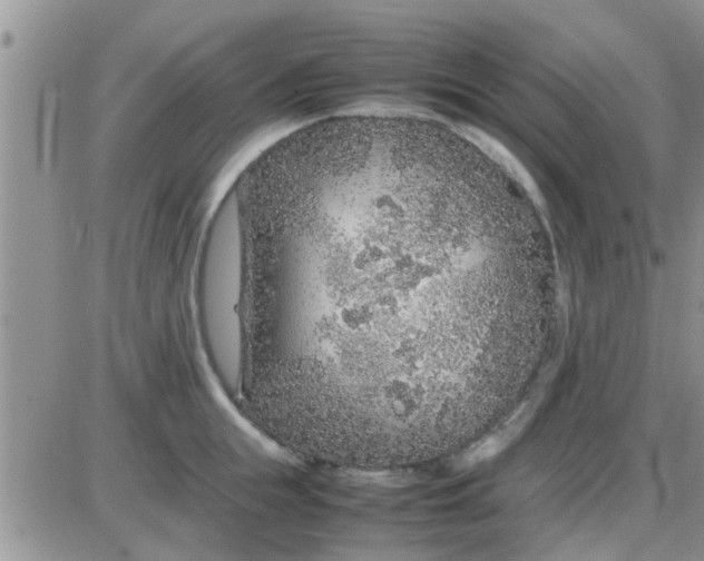 X0000085310855200703231922