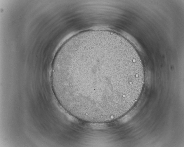 X0000085310856200703231922