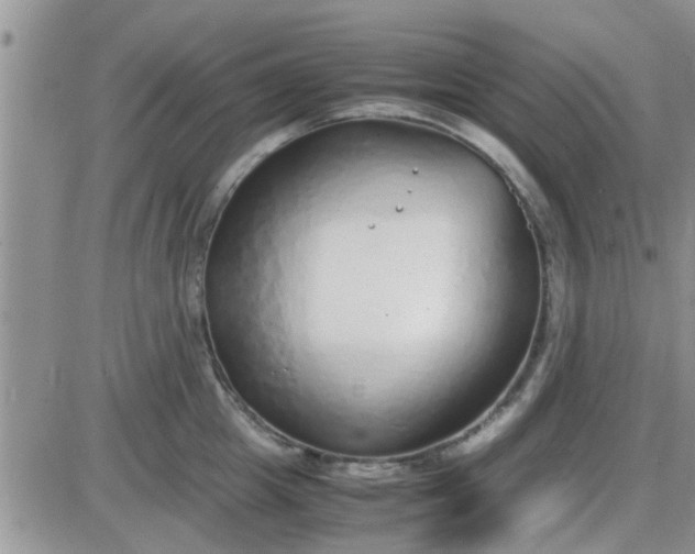 X0000085310857200703231922