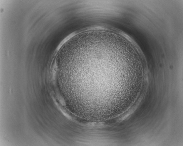 X0000085310858200703231922