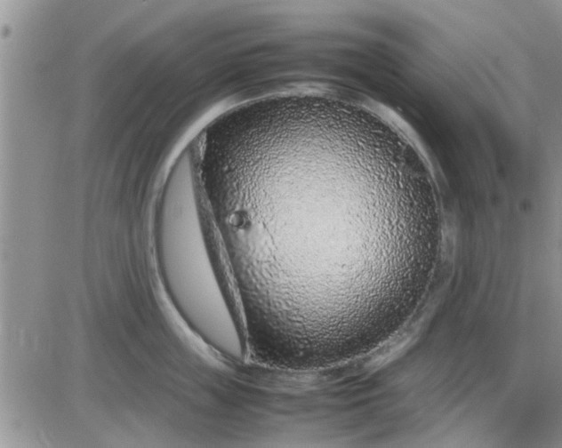 X0000085310859200703231922