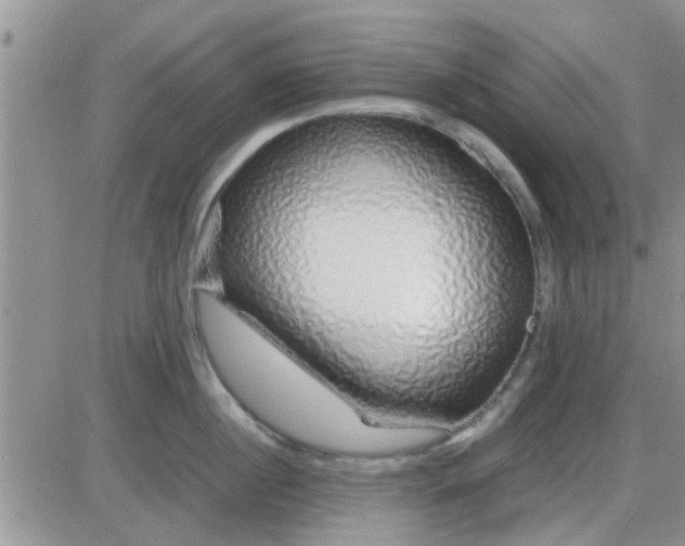 X0000085310860200703231922