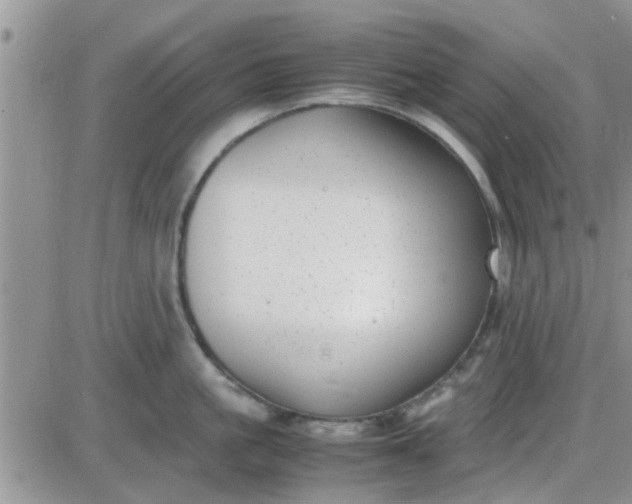 X0000085310861200703231922