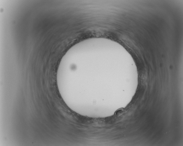 X0000085310865200703231921