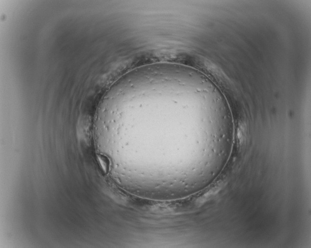 X0000085310867200703231921