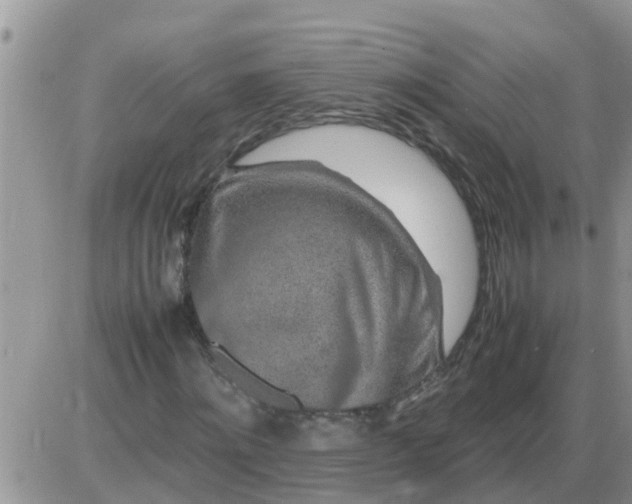 X0000085310868200703231921