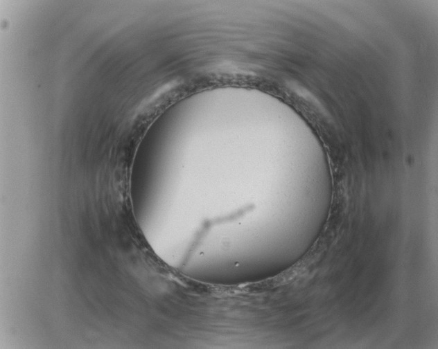 X0000085310870200703231921