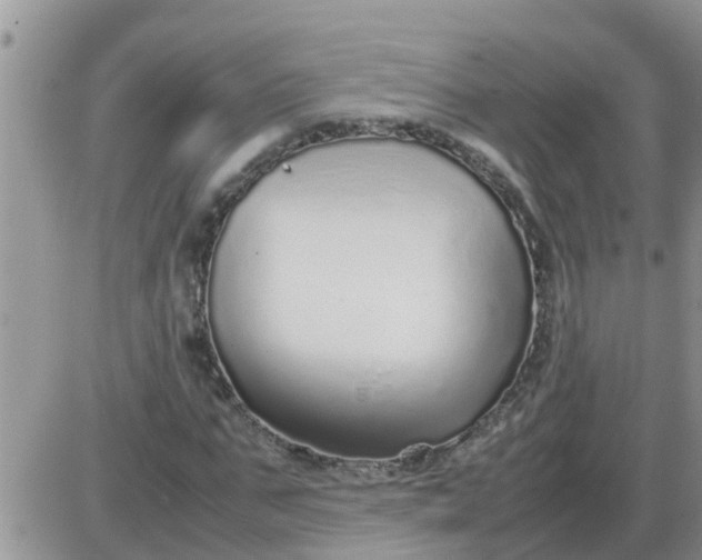 X0000085310871200703231921