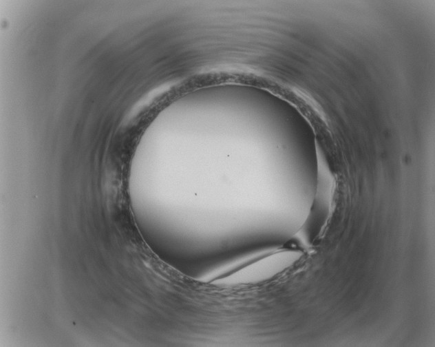 X0000085310872200703231921