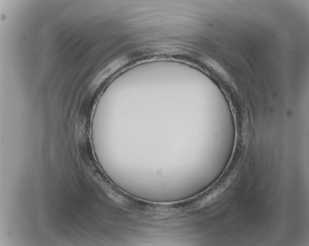 X0000085310873200703231921