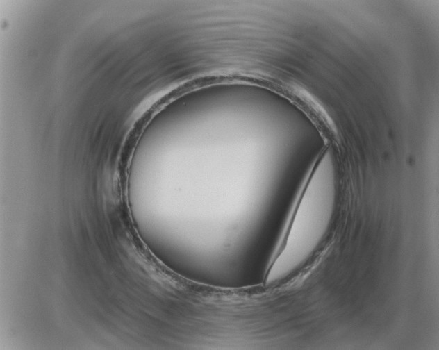 X0000085310876200703231921