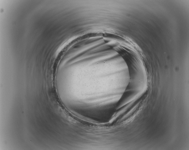 X0000085310877200703231921