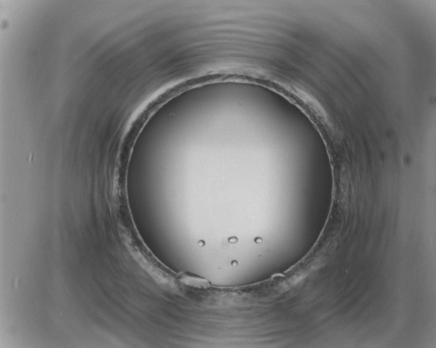 X0000085310880200703231921