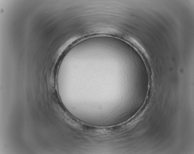 X0000085310883200703231921