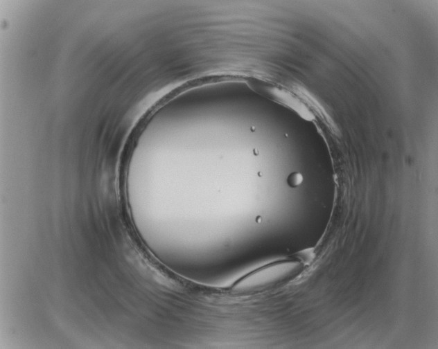 X0000085310884200703231921