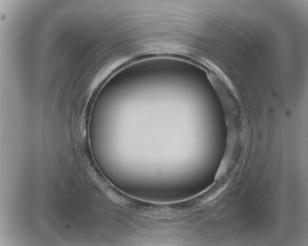 X0000085310885200703231921