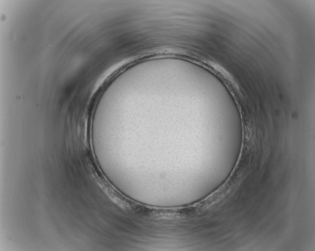 X0000085310886200703231921