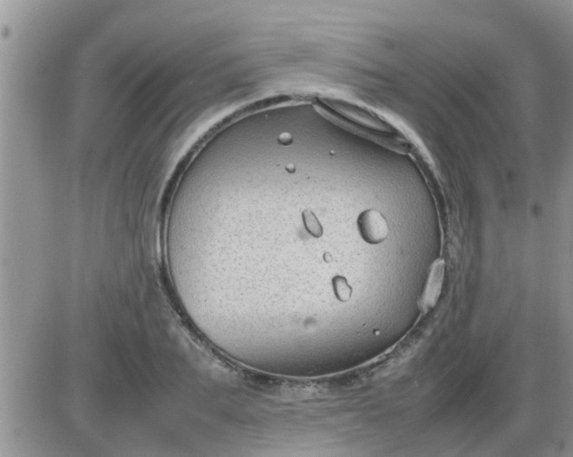 X0000085310887200703231921