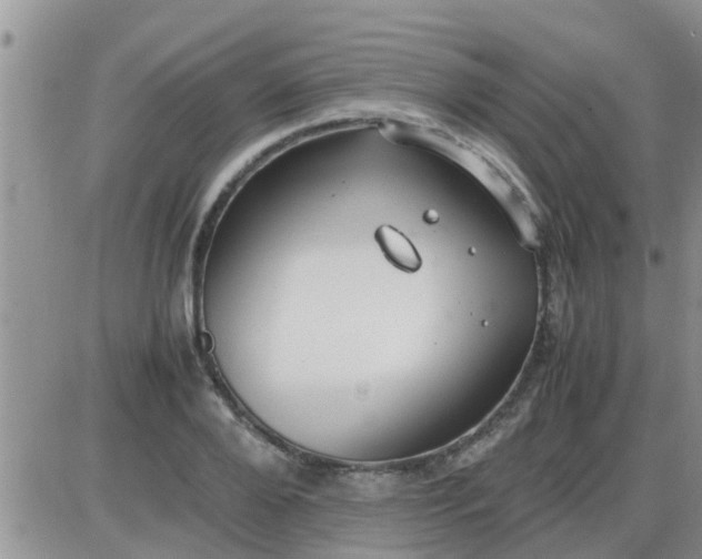 X0000085310888200703231921