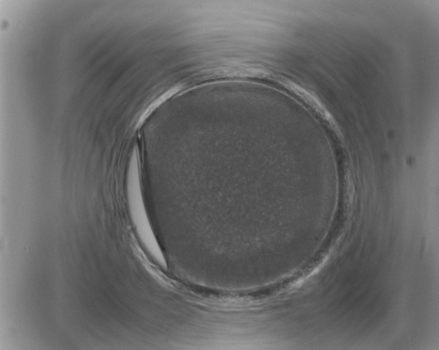 X0000085310889200703231921