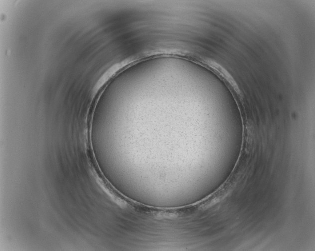 X0000085310890200703231921