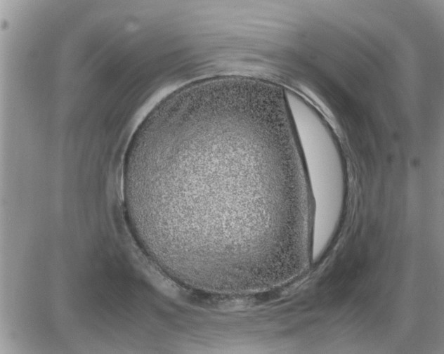 X0000085310891200703231921