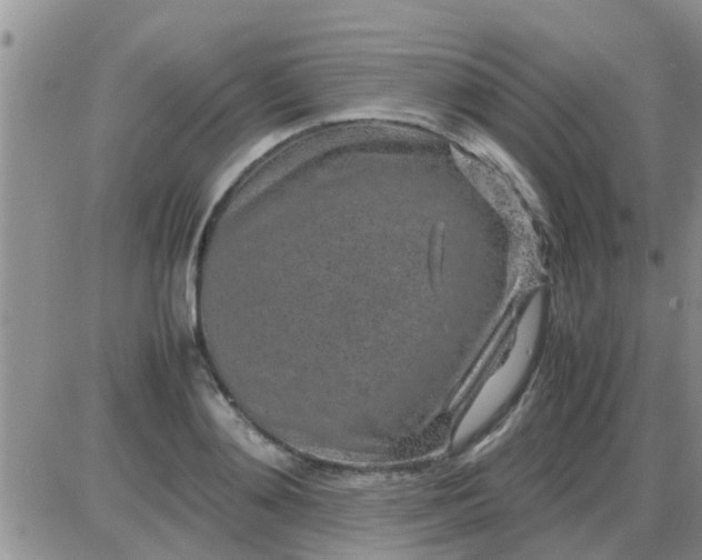 X0000085310892200703231921