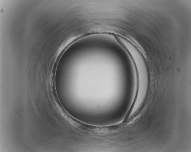 X0000085310893200703231921