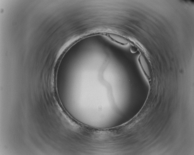 X0000085310894200703231921