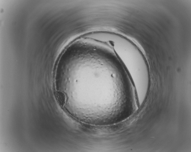 X0000085310895200703231921