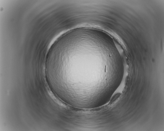 X0000085310896200703231921