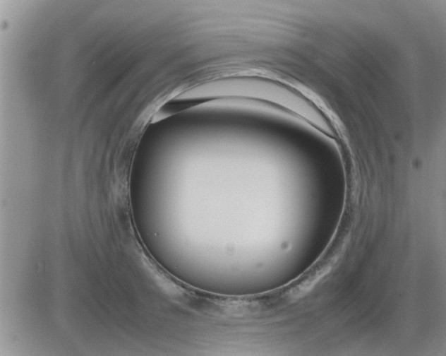 X0000085310897200703231921