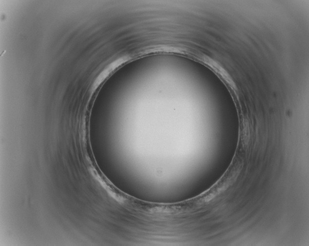 X0000085310898200703231921