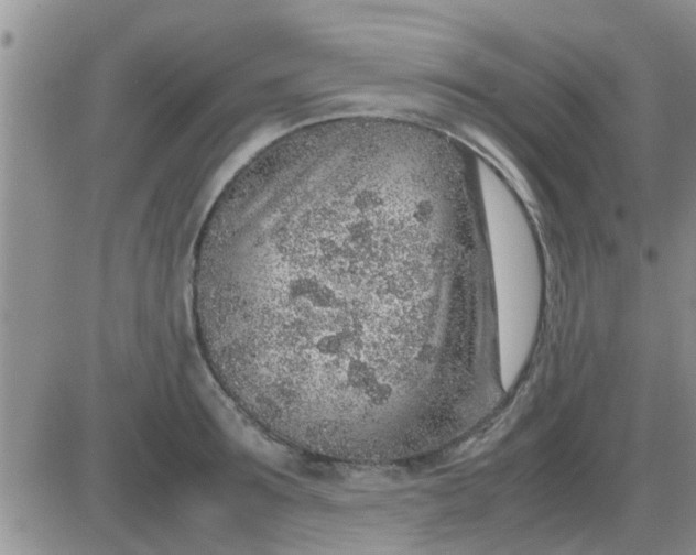 X0000085310899200703231921