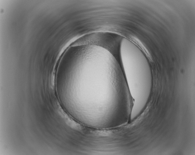 X0000085310900200703231921