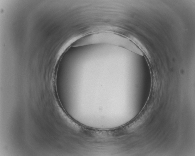 X0000085310901200703231920