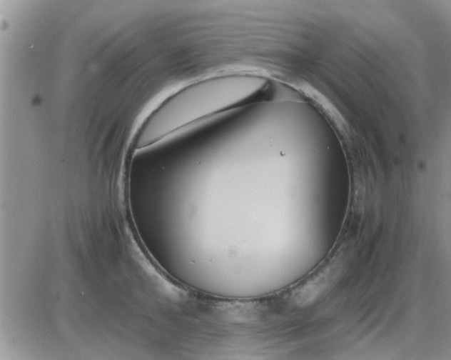 X0000085310902200703231920